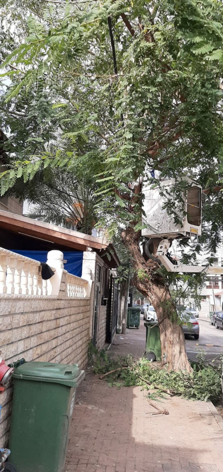 WhatsApp Image 2020-01-29 at 1.18.28 PM.jpeg.jpeg